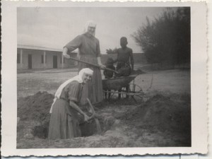 ecole-plantation-darbre_bas-de-page
