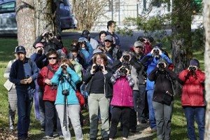 Observateurs_jumelle_BAS DE PAGE