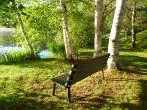4_Banc près du Lac-BAS DE PAGE